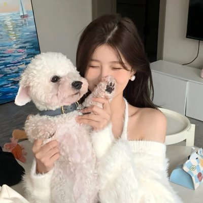桃花扇海报